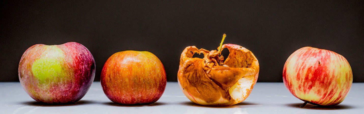 Introduction to Food Photochemistry